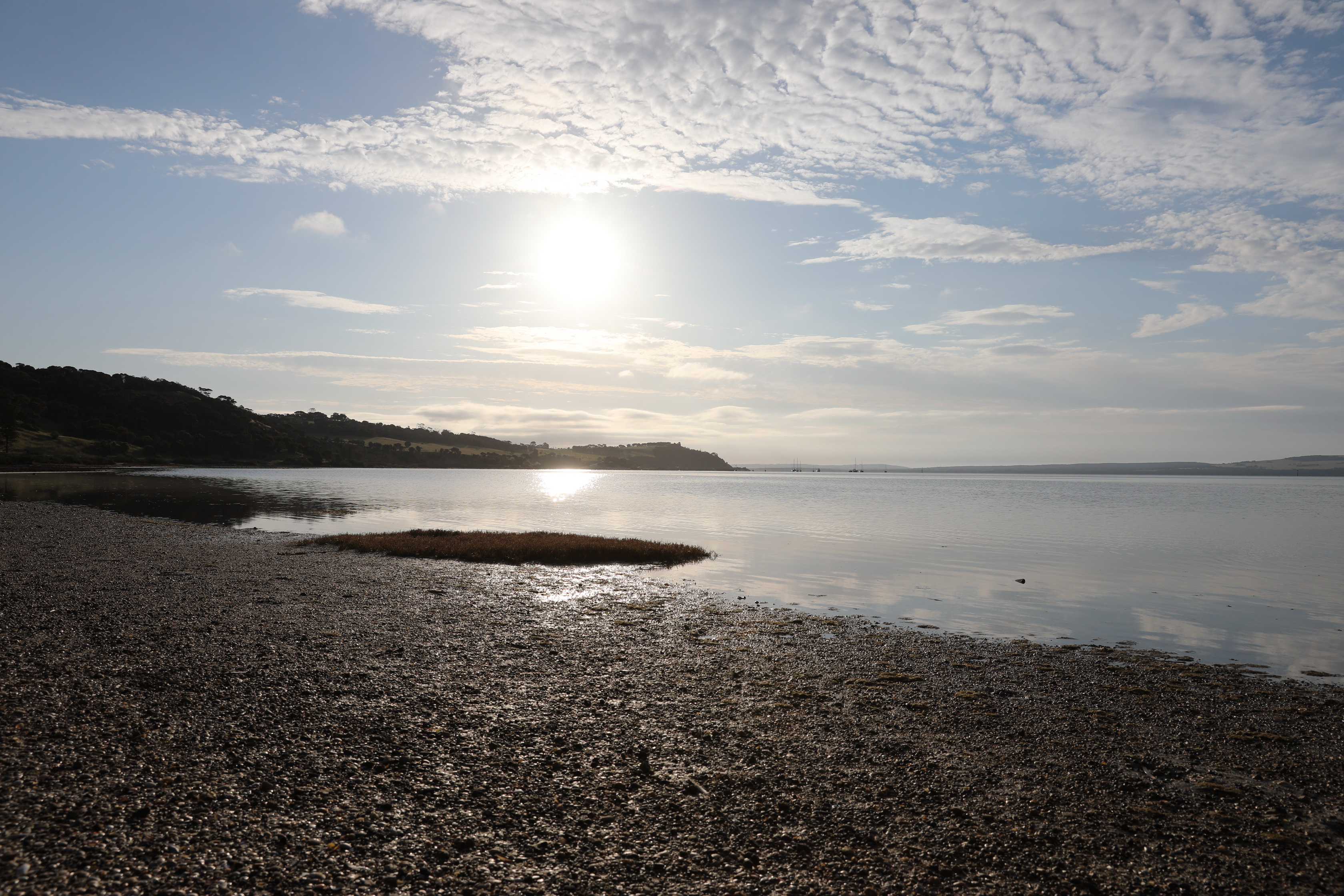 2019 10 03 17 15 51 Canon EOS 5D Mark IV 0019